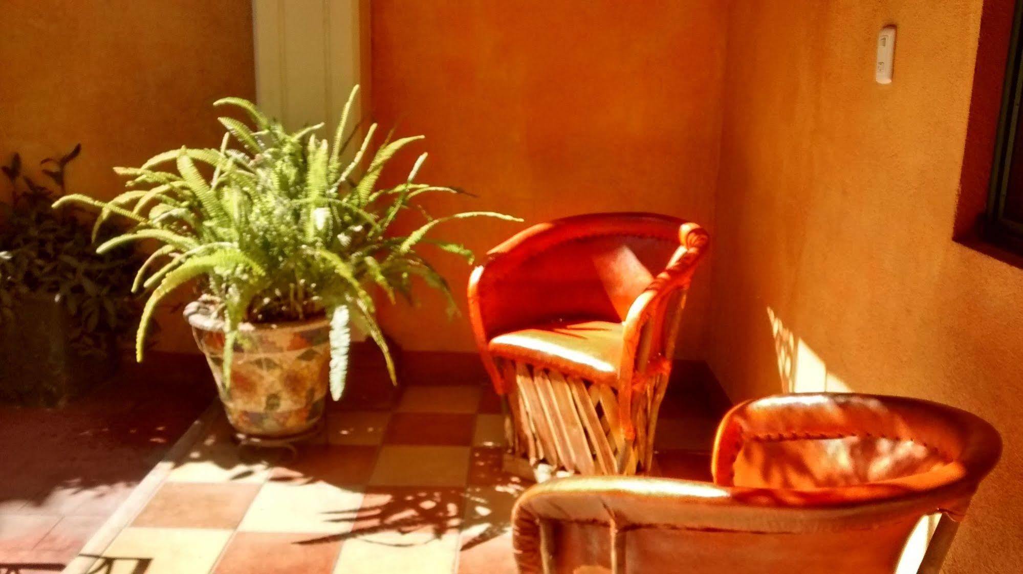 Hotel Casa Lidia Oaxaca Esterno foto